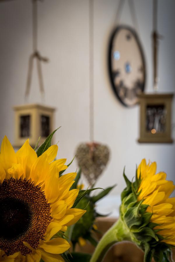 Cracow Best Location Apartment By Cozyplace Cracovia Exterior foto
